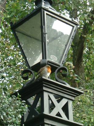 g - Thames Walk