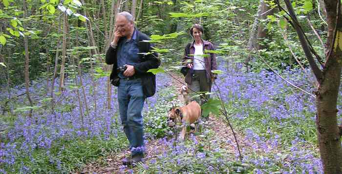 EFOG, Claybury Woods