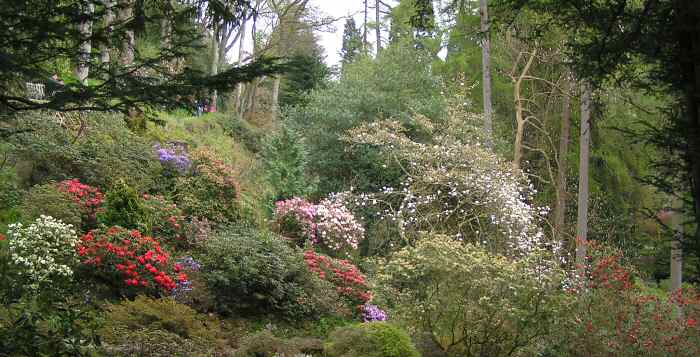 EFOG, Bodnant Gardens