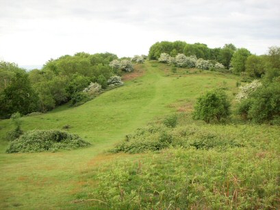 EFOG, Midsummer Hill