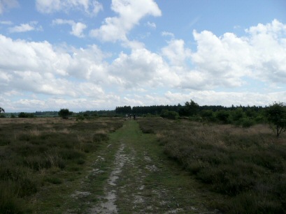 EFOG Breckland