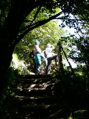 EFOG Lough Hyne