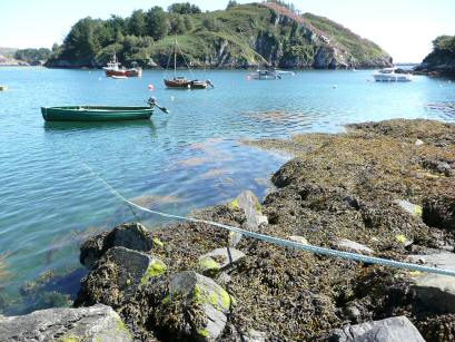 EFOG Lough Hyne