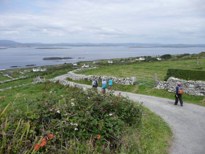 Cape Clear Island