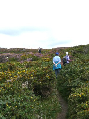Cape Clear Island