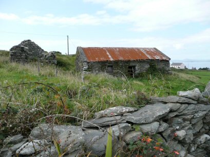 Cape Clear Island