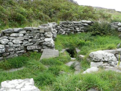 Cape Clear Island