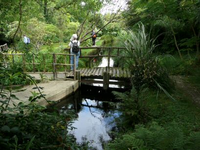 Lisselan Gardens