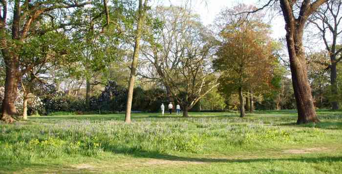 EFOG Kew Gardens