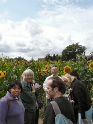EFOG Maize Maze