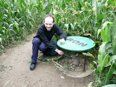 EFOG Maize Maze