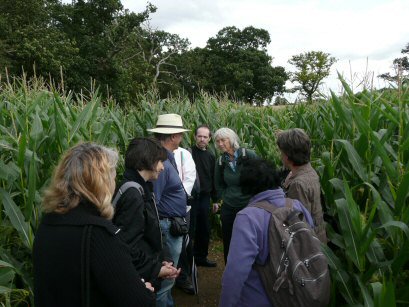 EFOG Maize Maze