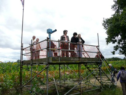 EFOG Maize Maze