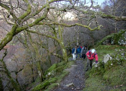 EFOG Betws-y-Coed