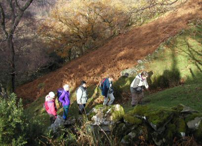 EFOG Betws-y-Coed