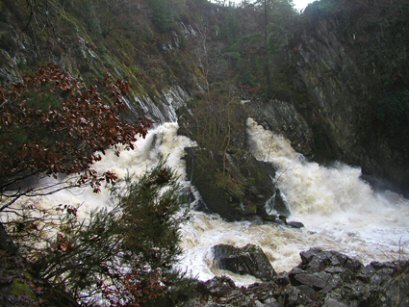EFOG Betws-y-Coed