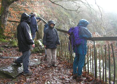 EFOG Betws-y-Coed