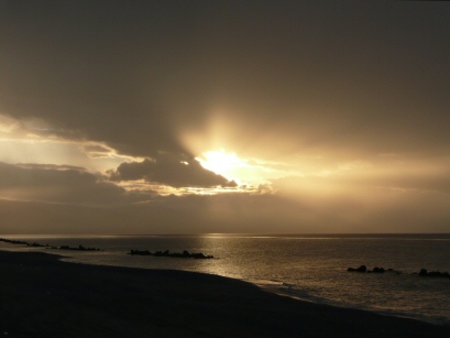 EFOG Sicily