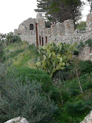 EFOG Sicily