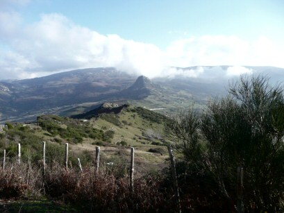 EFOG Sicily