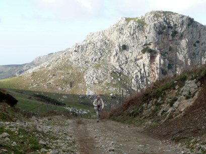 EFOG Sicily