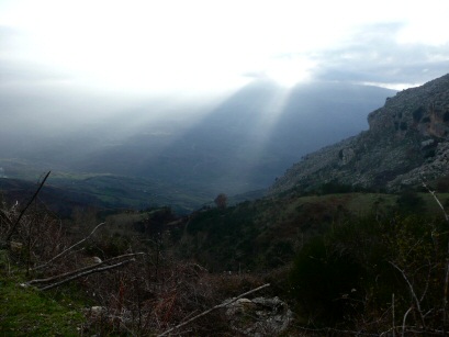 EFOG Sicily