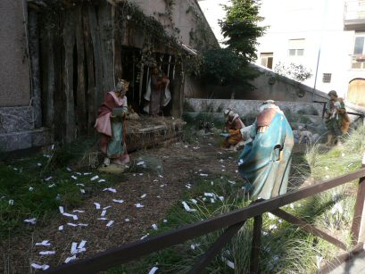EFOG Sicily