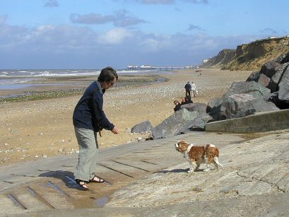 EFOG Camping at East Runton