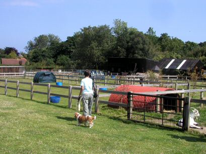 Hillside Animal and Shire Horse Sanctuary