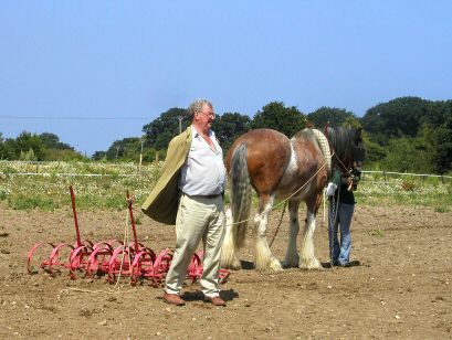 Hillside Animal and Shire Horse Sanctuary