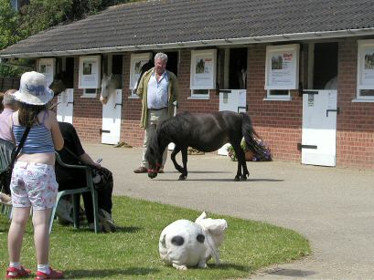Hillside Animal and Shire Horse Sanctuary