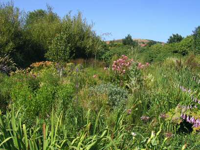 EFOG Priory Garden Centre