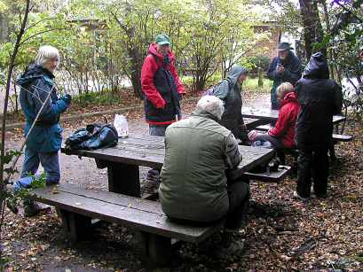 Highgate Wood 