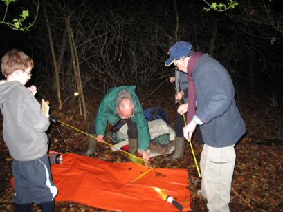 Rodings Rally 2008