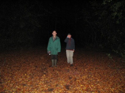 Rodings Rally 2008