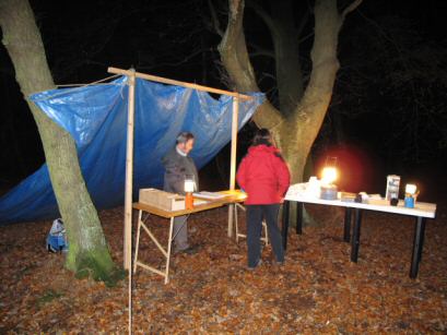 Rodings Rally 2008