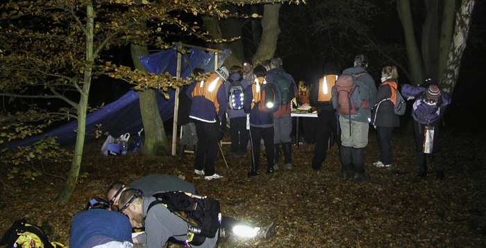 Rodings Rally 2008