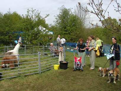 May Fayre at Swaines Green, Epping