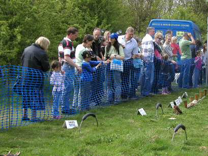 May Fayre at Swaines Green, Epping