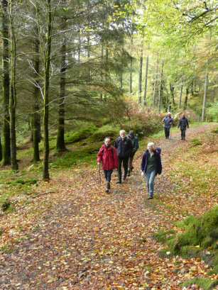 EFOG Loch Lomond