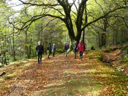 EFOG Loch Lomond