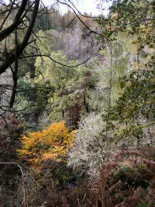 EFOG Loch Lomond