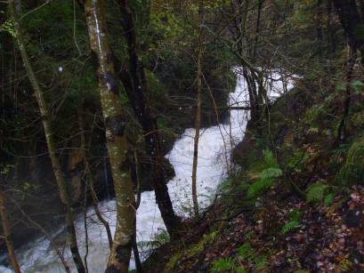 Loch Loin