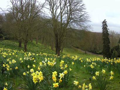 Waddesdon Manor