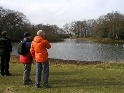 Wanstead Flats