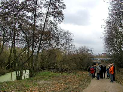 Alders Brook