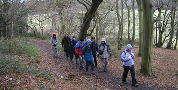 EFOG Walking in Hertfordshire